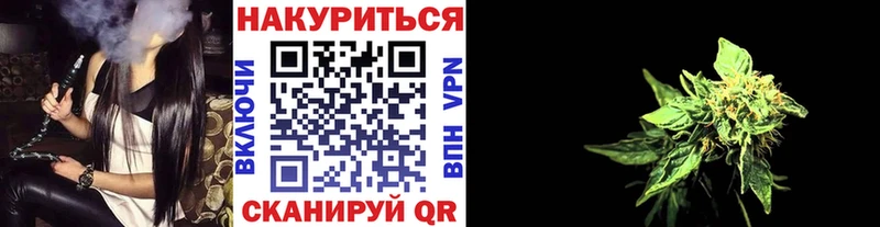 где купить   Сосновка  Шишки марихуана OG Kush 
